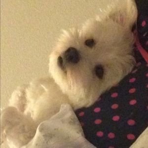 Meet your Posher, Pam